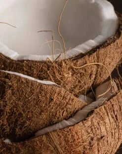 Pura X MERSEA Coconut Sugar Fragrance Refill -Mersea pura smart vial coconut sugar 1